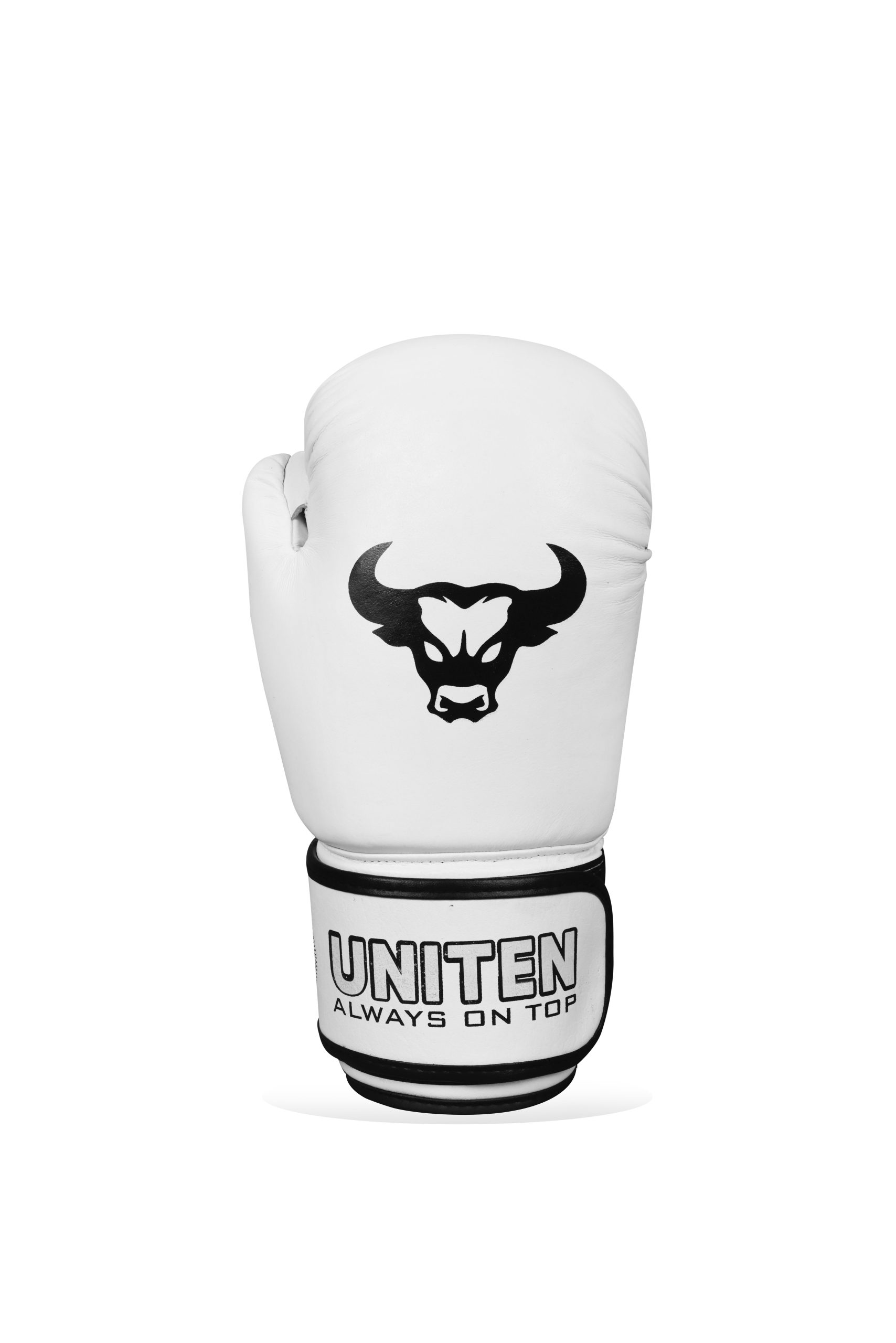 White Tiger Boxing Gloves - Image 3