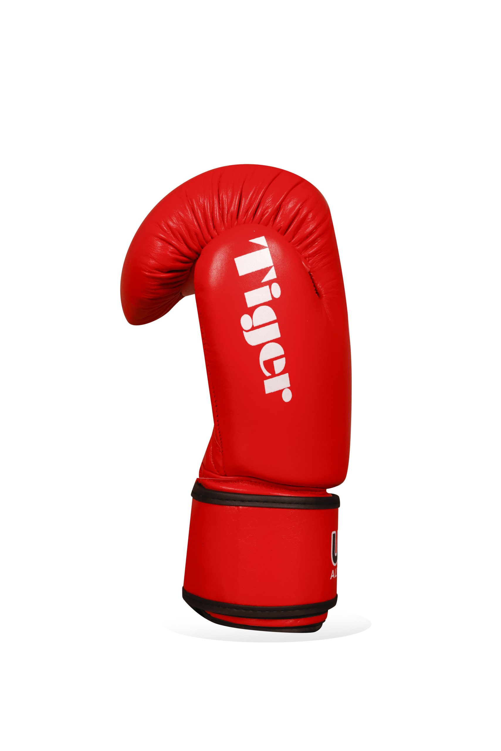 Complete Training Set - Image 2