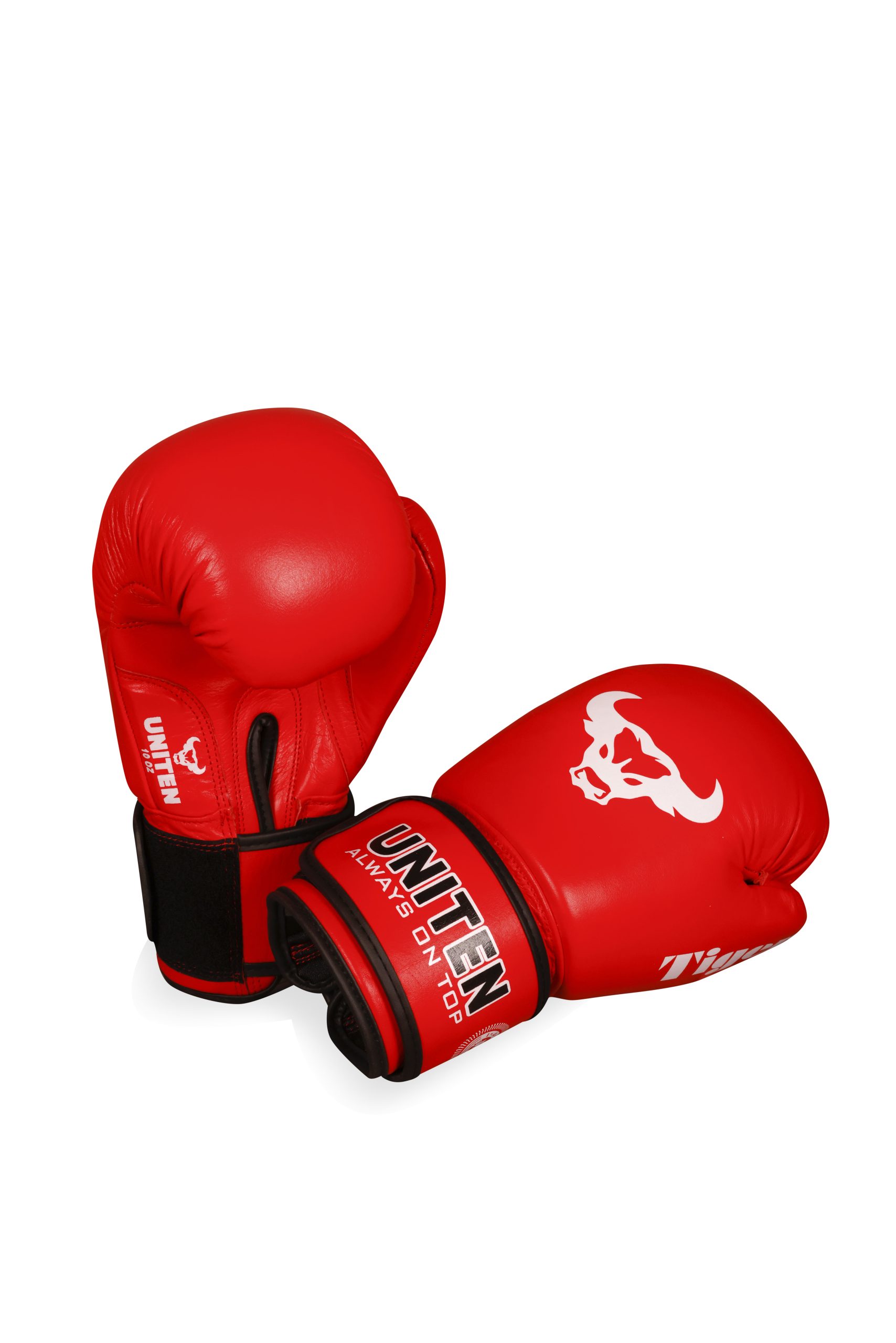 Complete Training Set