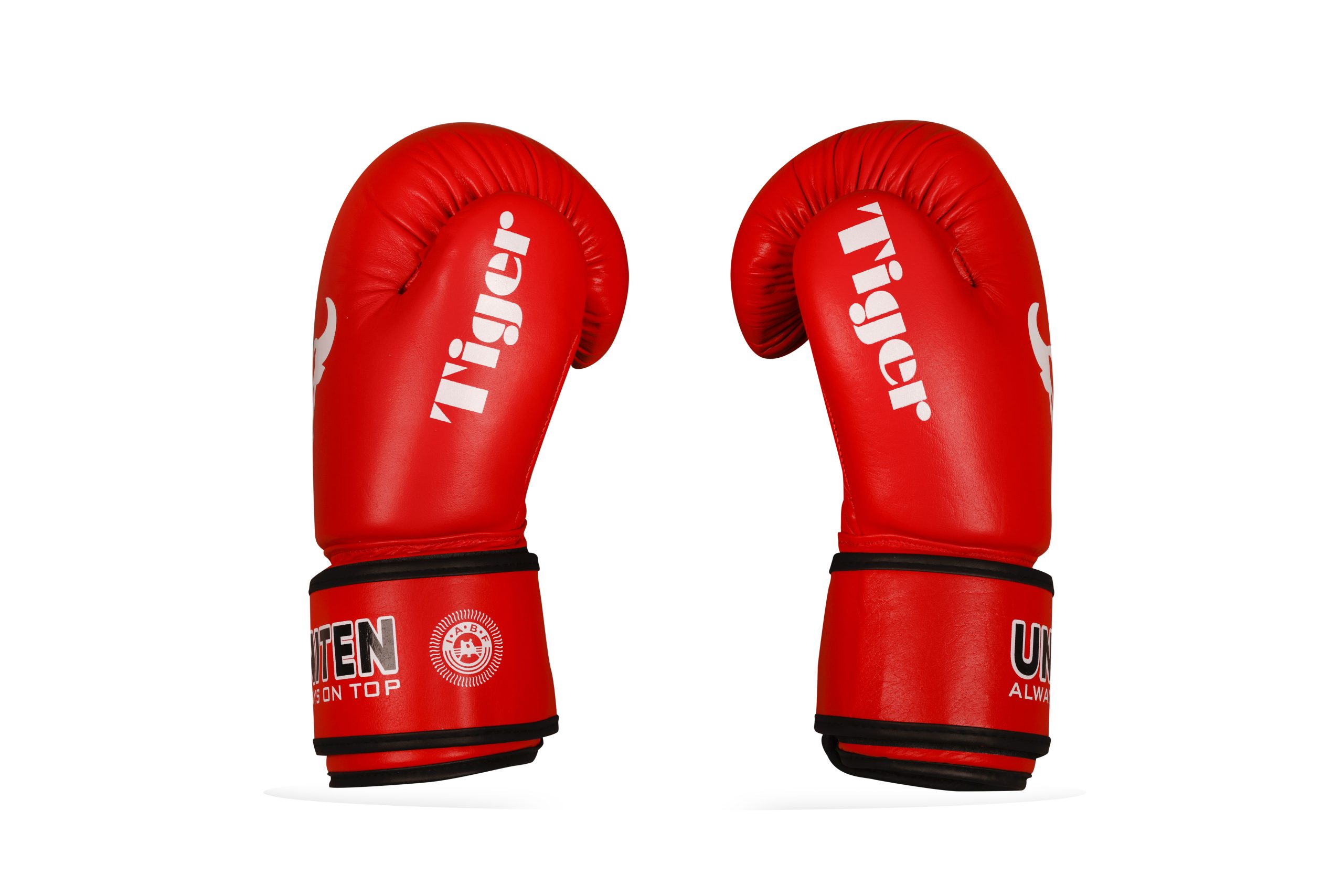 Complete Training Set - Image 4