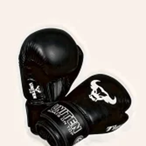 Train Like a Champion!
